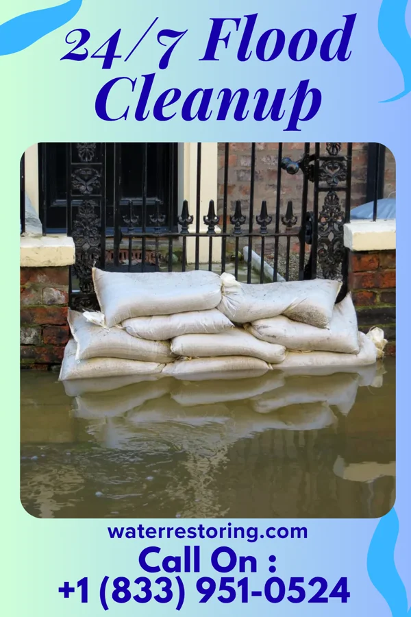 24/7 Flood Cleanup in Keokea, HI