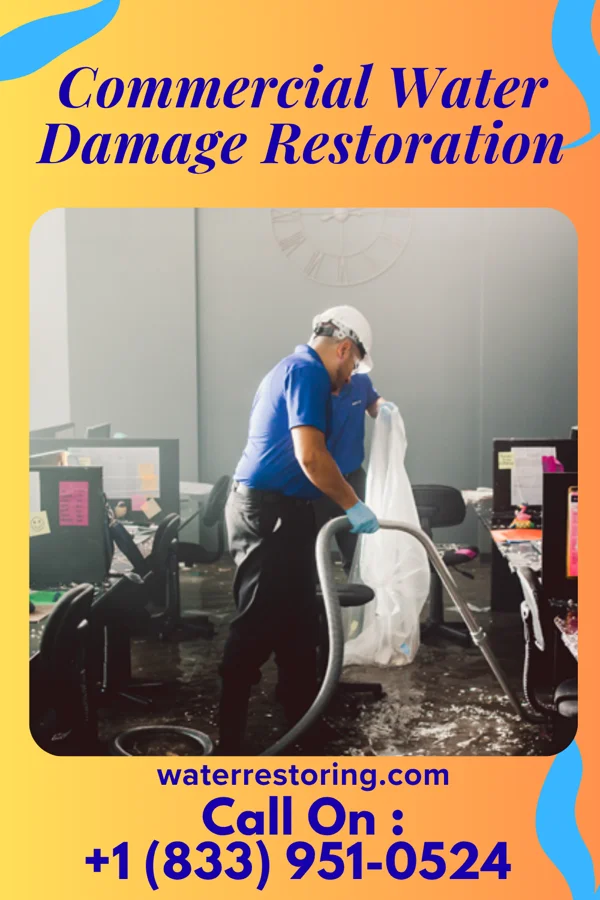 Commercial Water Damage Restoration in Keokea, HI