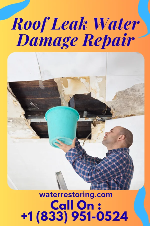 Roof Leak Water Damage Repair in Keokea, HI