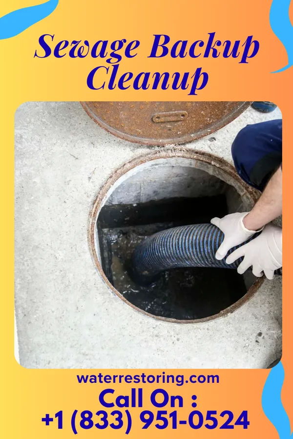 Sewage Backup Cleanup in Keokea, HI